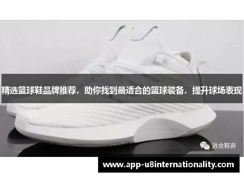 精选篮球鞋品牌推荐，助你找到最适合的篮球装备，提升球场表现