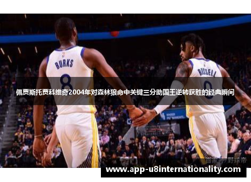 佩贾斯托贾科维奇2004年对森林狼命中关键三分助国王逆转获胜的经典瞬间