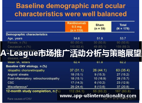 A-League市场推广活动分析与策略展望