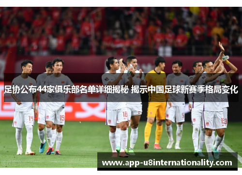 足协公布44家俱乐部名单详细揭秘 揭示中国足球新赛季格局变化