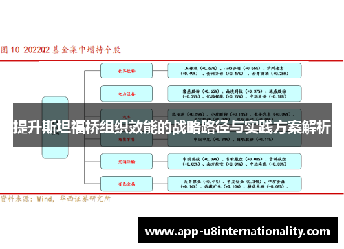 提升斯坦福桥组织效能的战略路径与实践方案解析