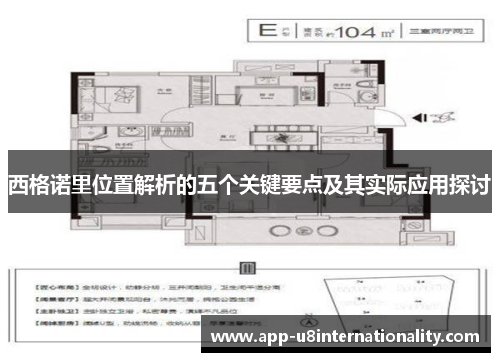 西格诺里位置解析的五个关键要点及其实际应用探讨